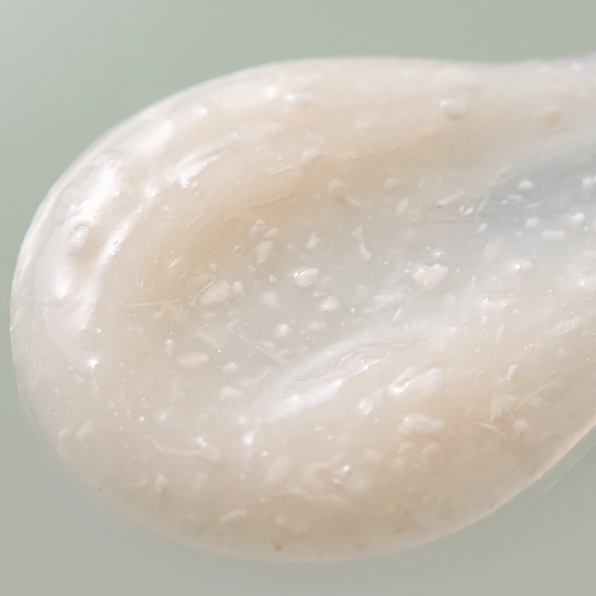 Lactobacillus / rice ferments